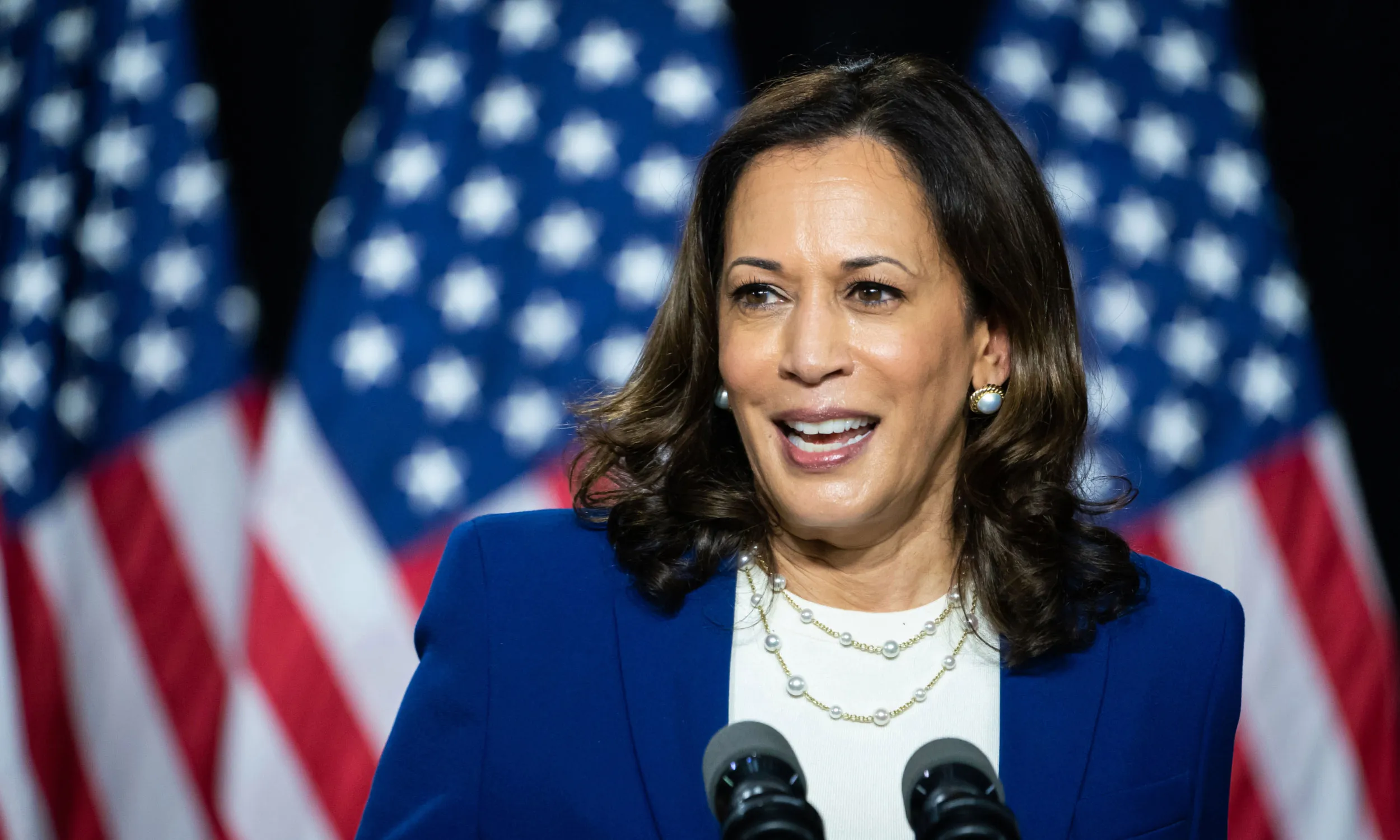 Unveiling Kamala Harris: What Does She Truly Stand For in 2024?