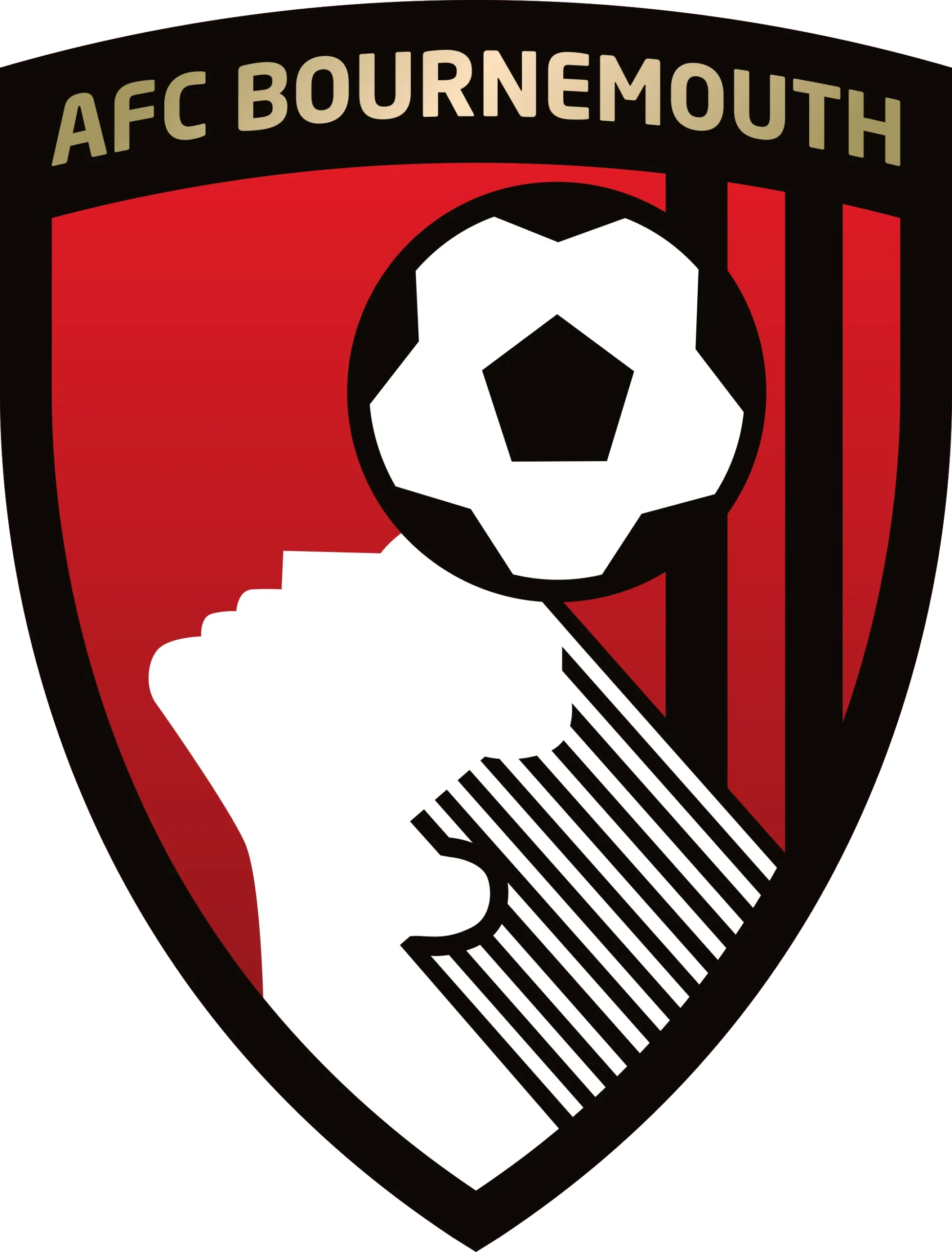 Bournemouth Stuns Ipswich with Dramatic Late Comeback: 2-1 Victory!