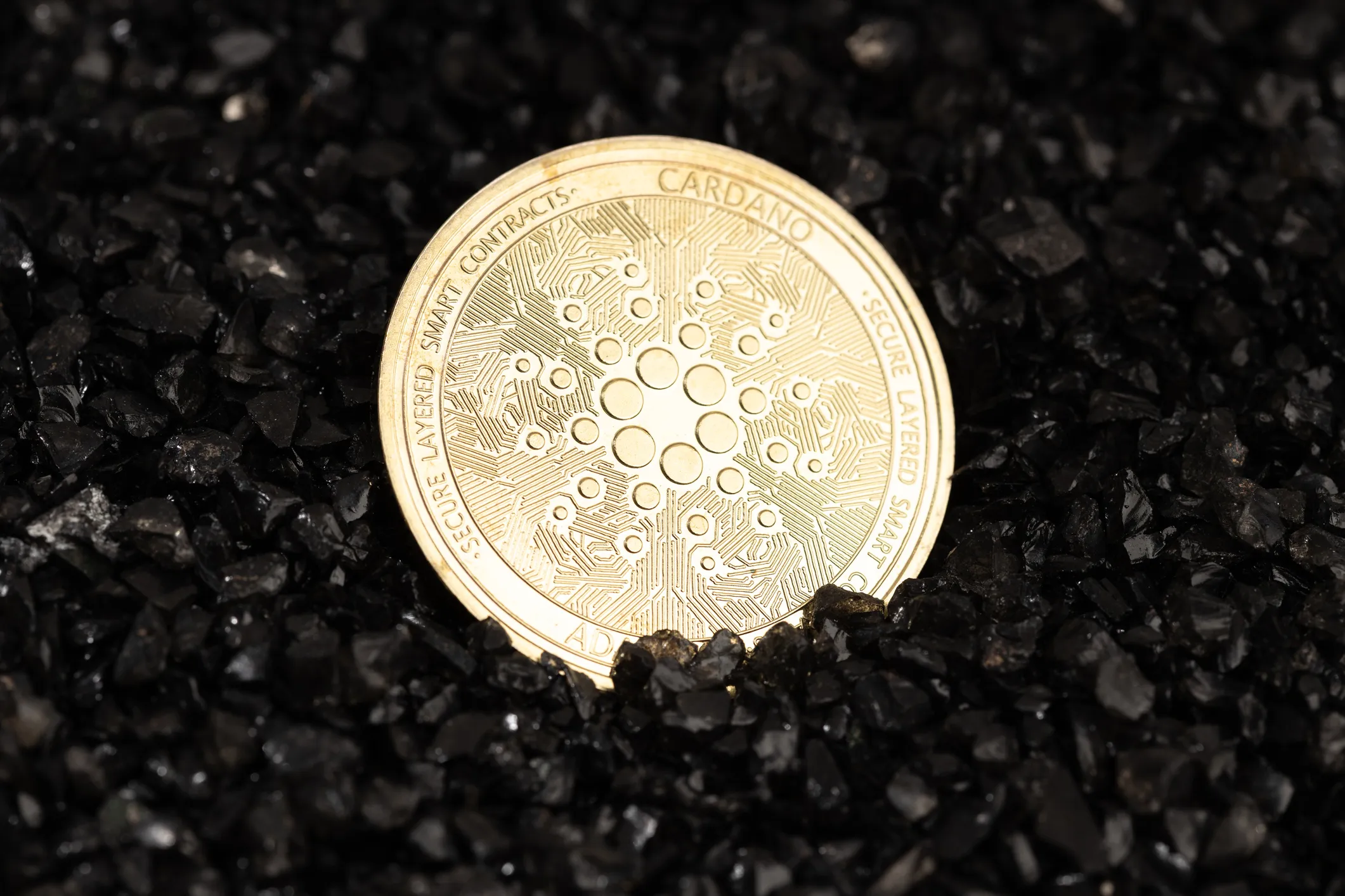 Cardano Price Soars: Is $1 Just the Beginning for ADA Investors?