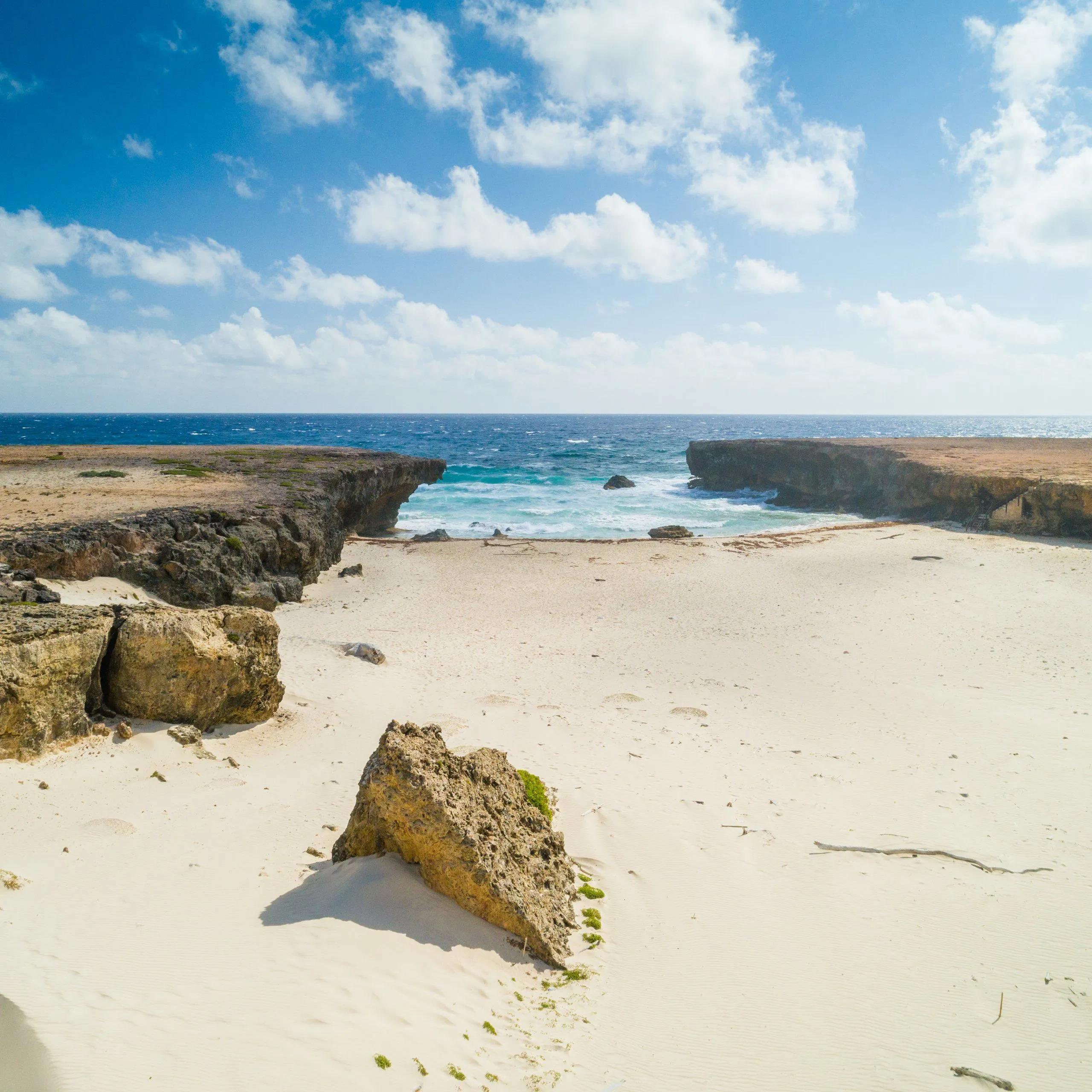 Discover Why Aruba is the Hottest Travel Destination of 2024!