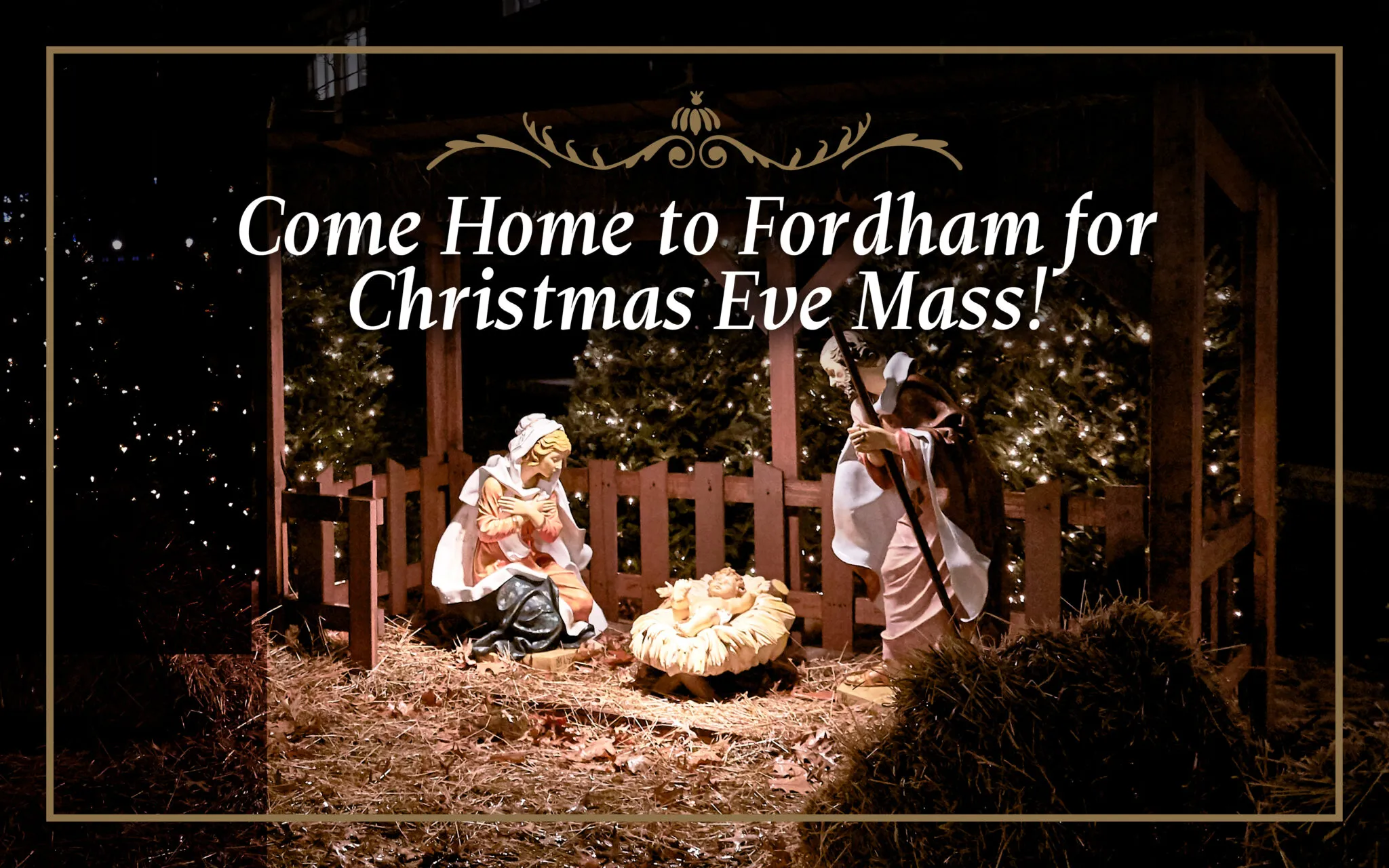 Fordham's Surprising Rise: What You Need to Know About the Latest Buzz!