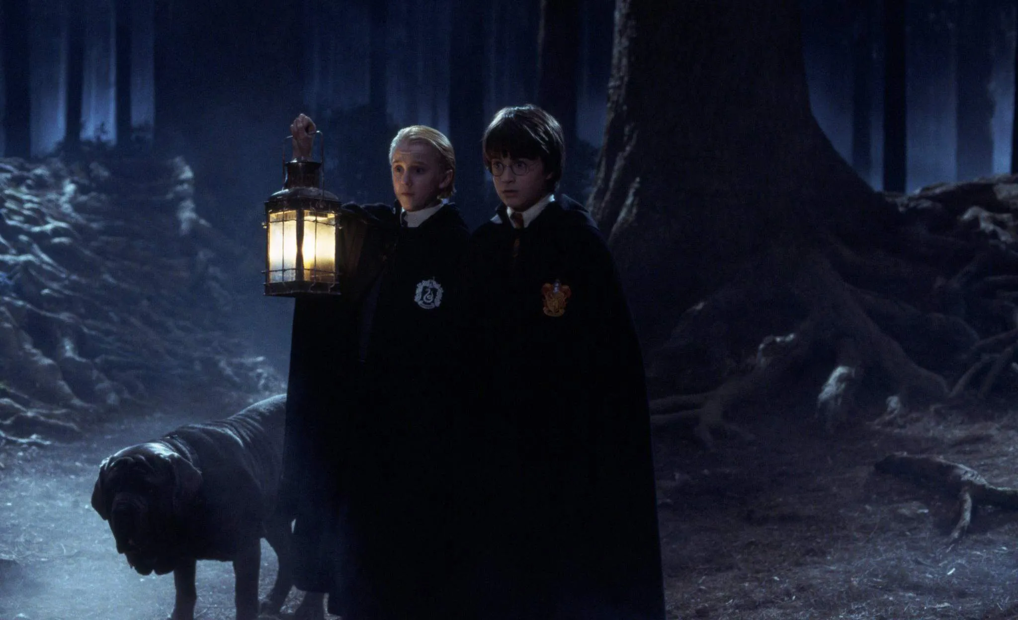 Harry Potter's Magical Comeback: What Fans Are Buzzing About This Holiday Season!