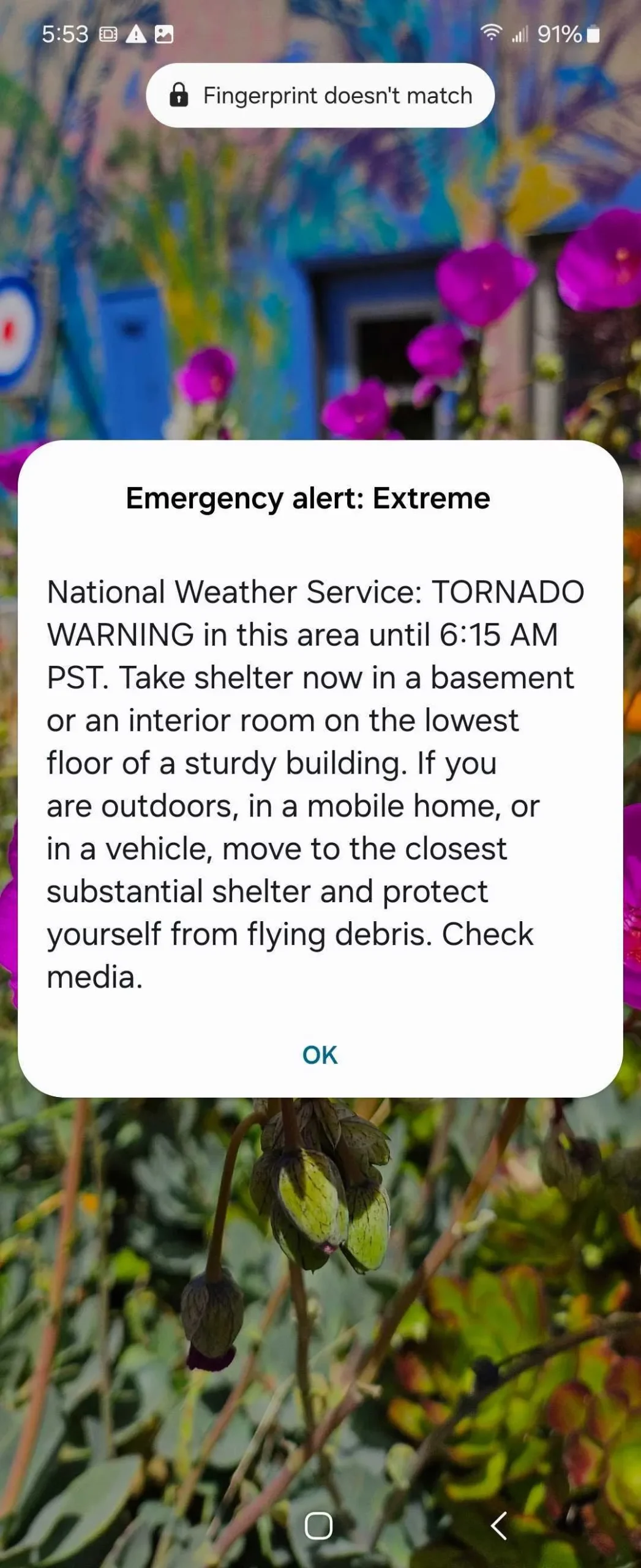 San Francisco on High Alert: Tornado Warning Sparks Urgent Safety Measures