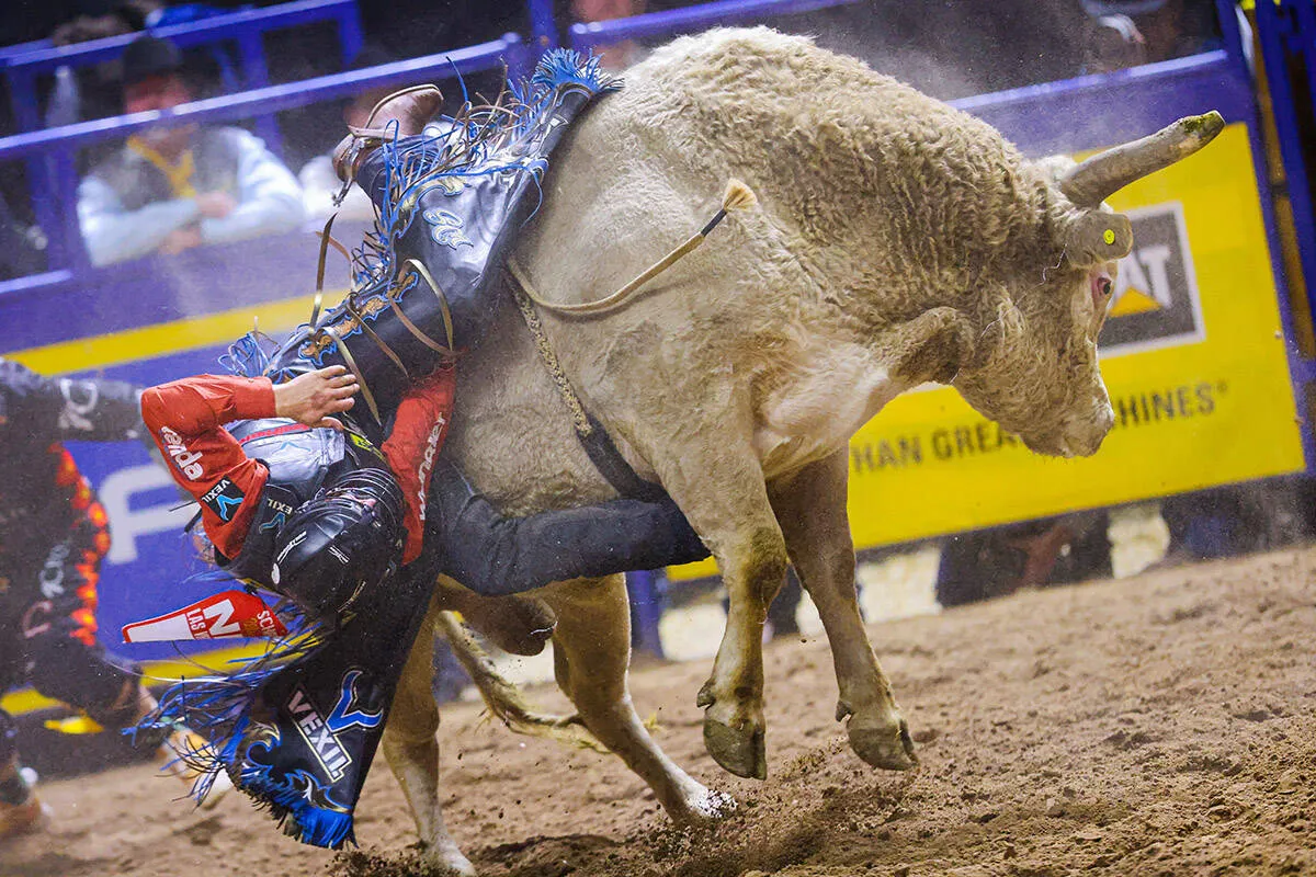 Thrilling Showdown: NFR Round 4 Results Leave Fans Breathless!