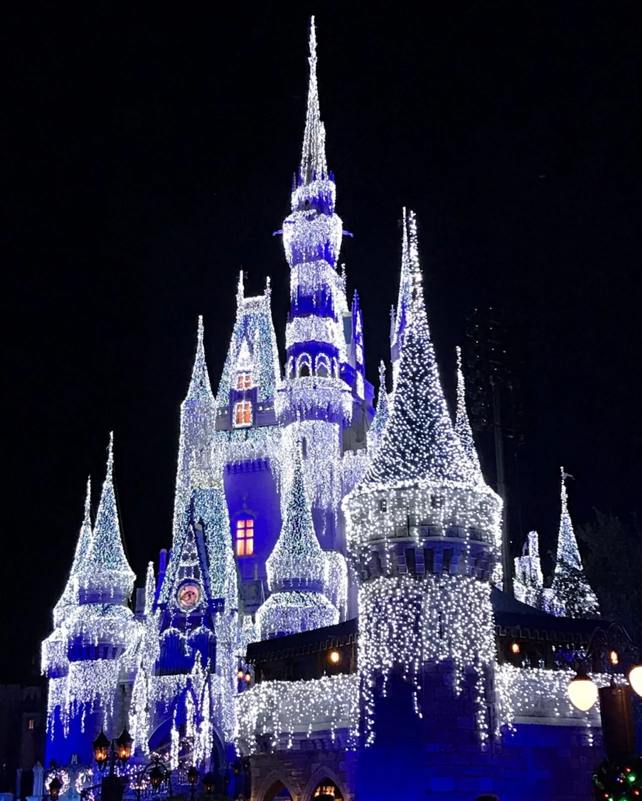Walt Disney World Shocker: What You Need to Know Before Your Next Visit!