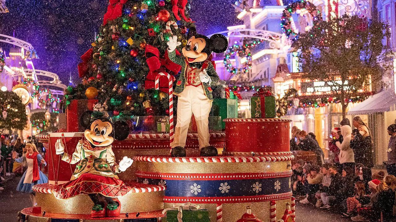 You Won't Believe What Tally the Elf Just Did - The Internet is Going Wild!