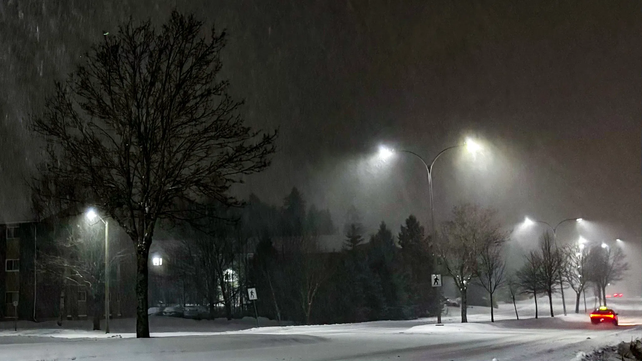 Arctic Blast Forces Widespread School Closures: Is Your District Affected?