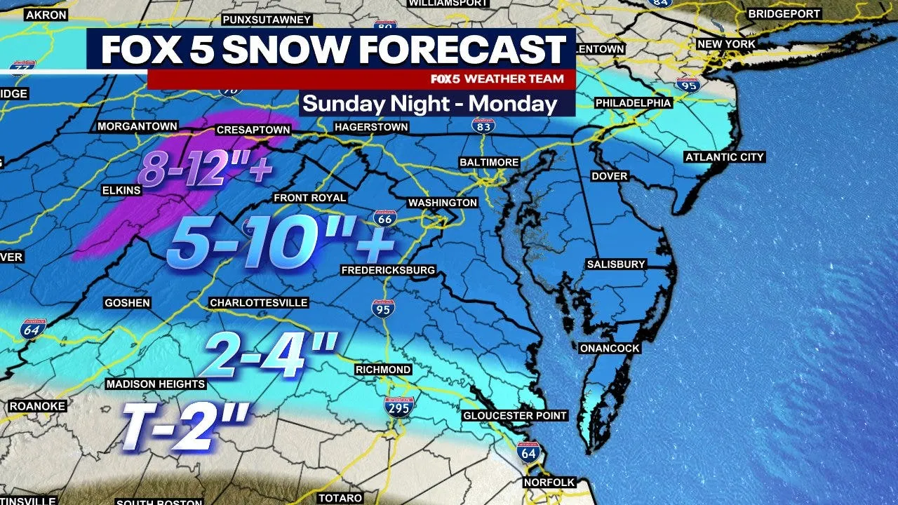 DC Snowstorm Hits Hard: What You Need to Know About the Winter Blast!