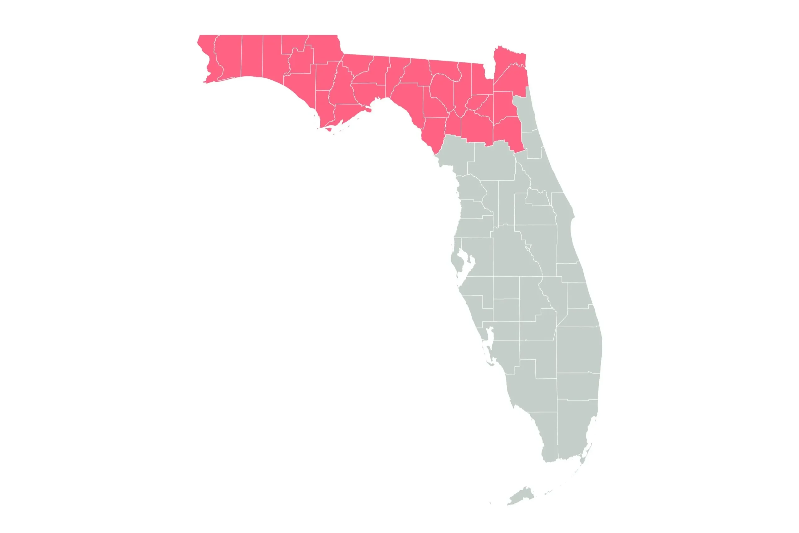 Florida's Winter Wonderland: Snowfall Surprises Sunshine State Residents!