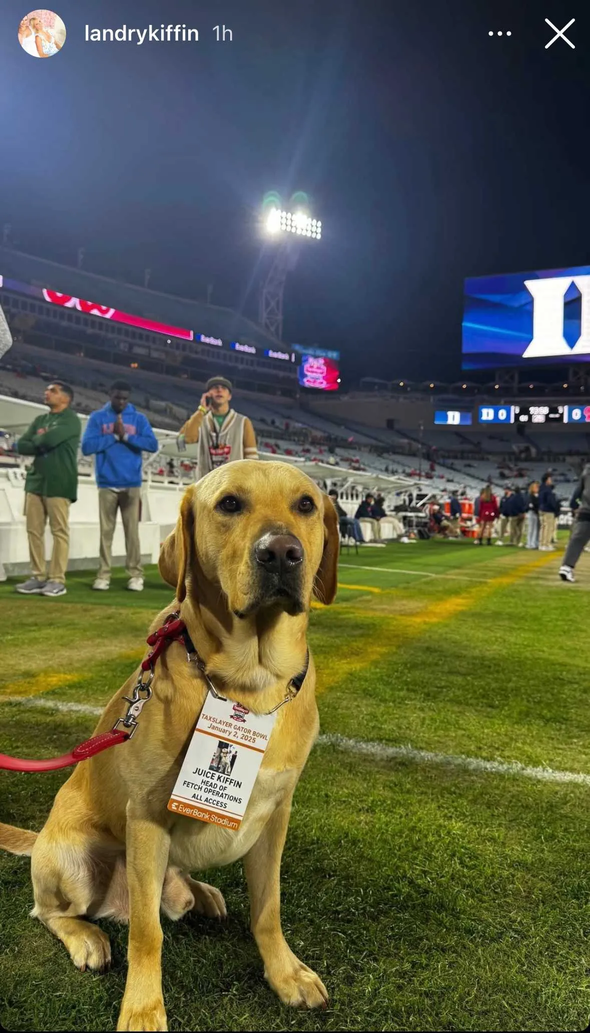 Lane Kiffin's Daughter Joins the Social Media Fun: What You Need to Know!