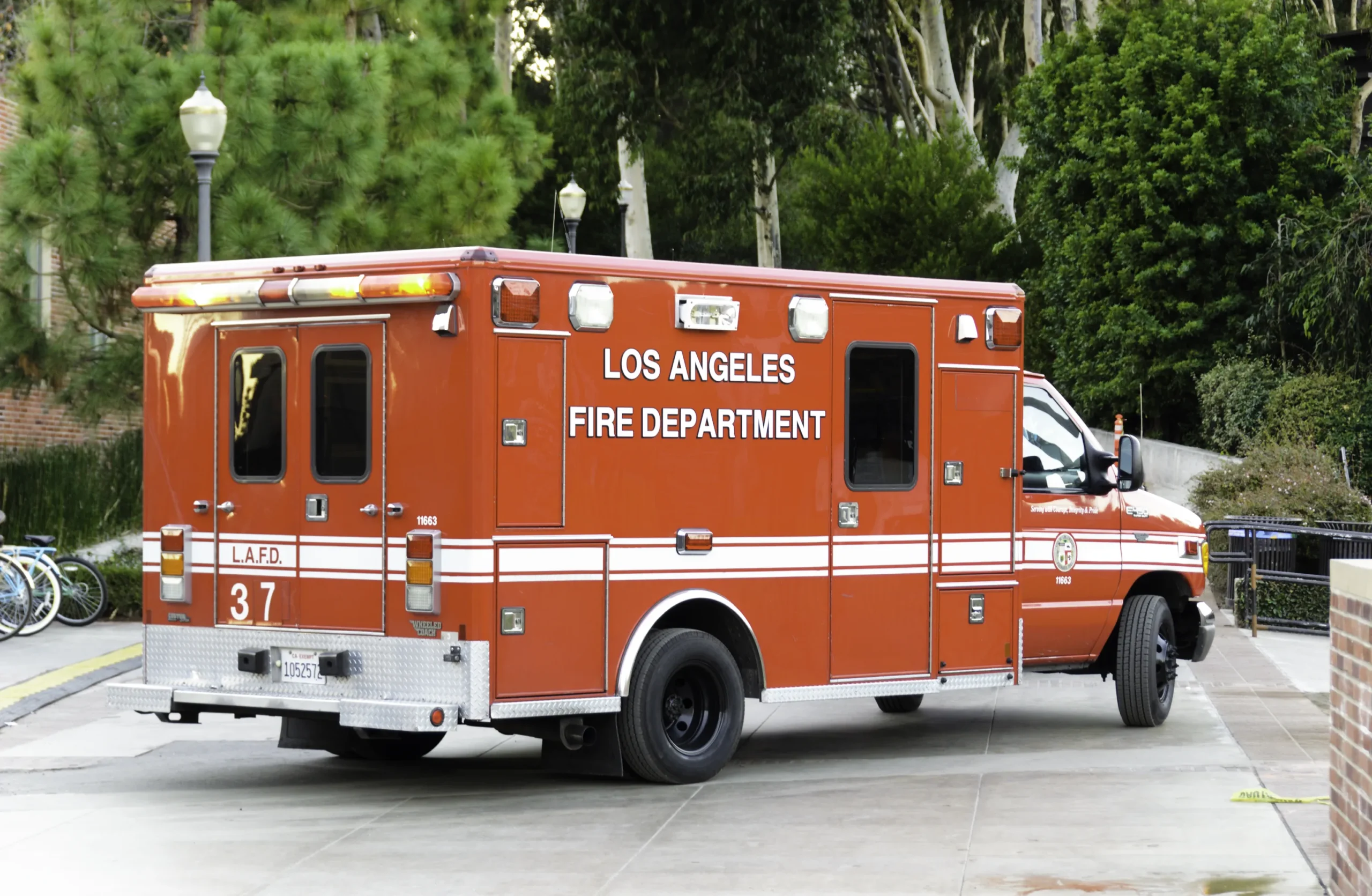 Palisades Fire: What You Need to Know About the Blaze Taking Over the Headlines