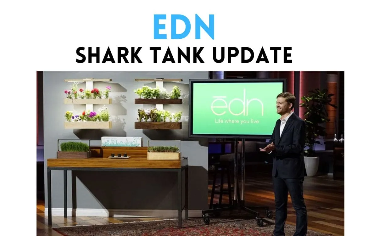 Shark Tank: The Secrets Behind This Season's Most Jaw-Dropping Deals!