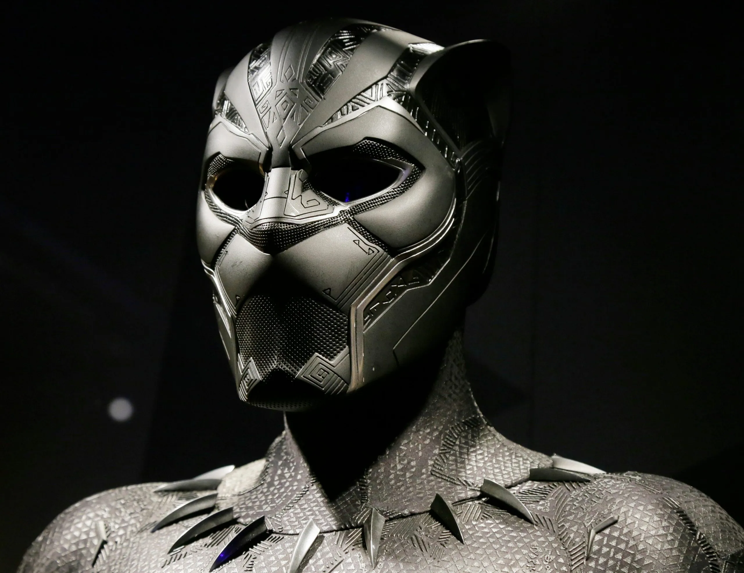 Unmasking the Legacy: How the Black Panther Movement Continues to Inspire Change Today