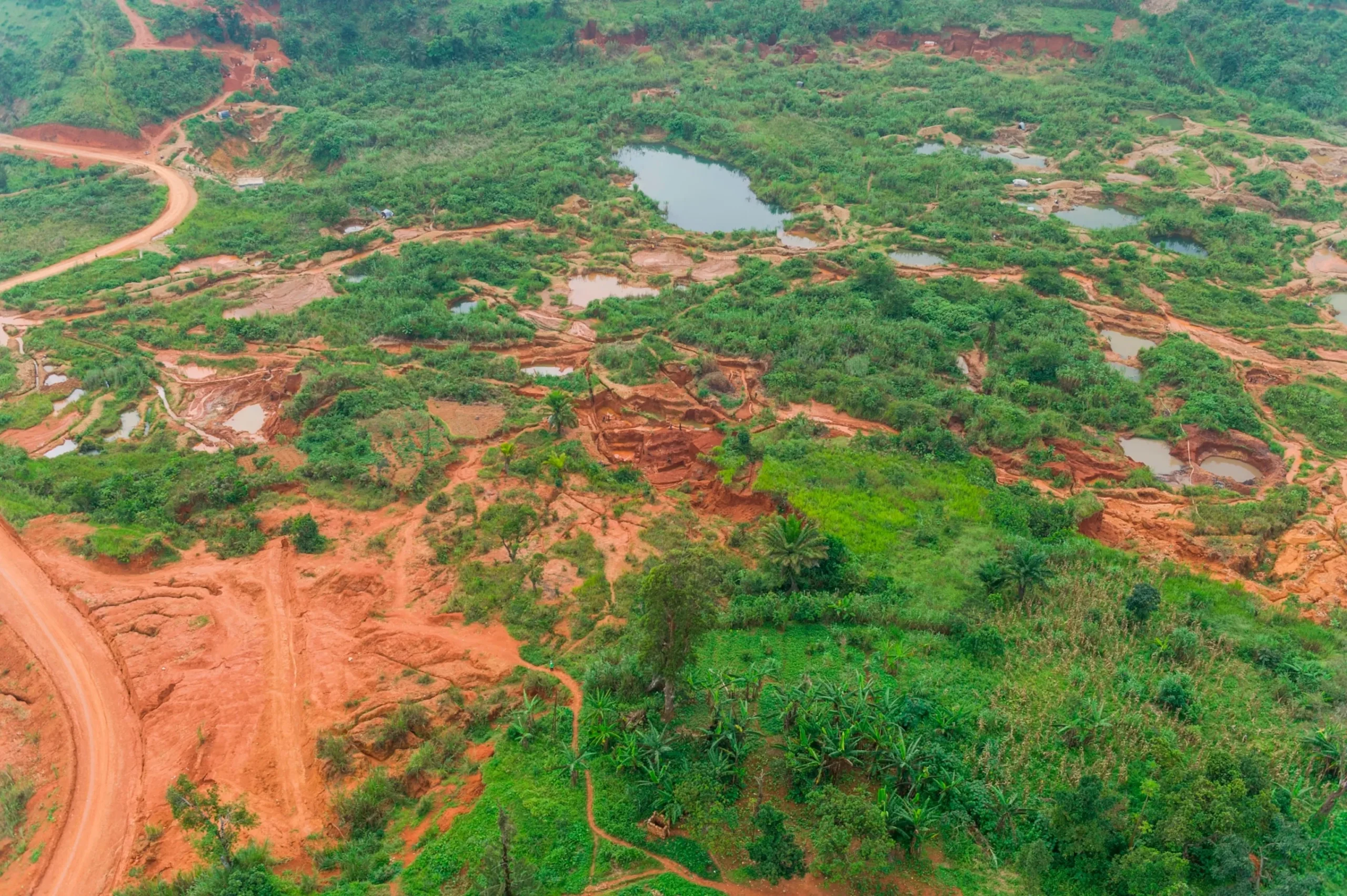 Over 50 Lives Lost: The Mysterious Disease Sweeping Through Congo