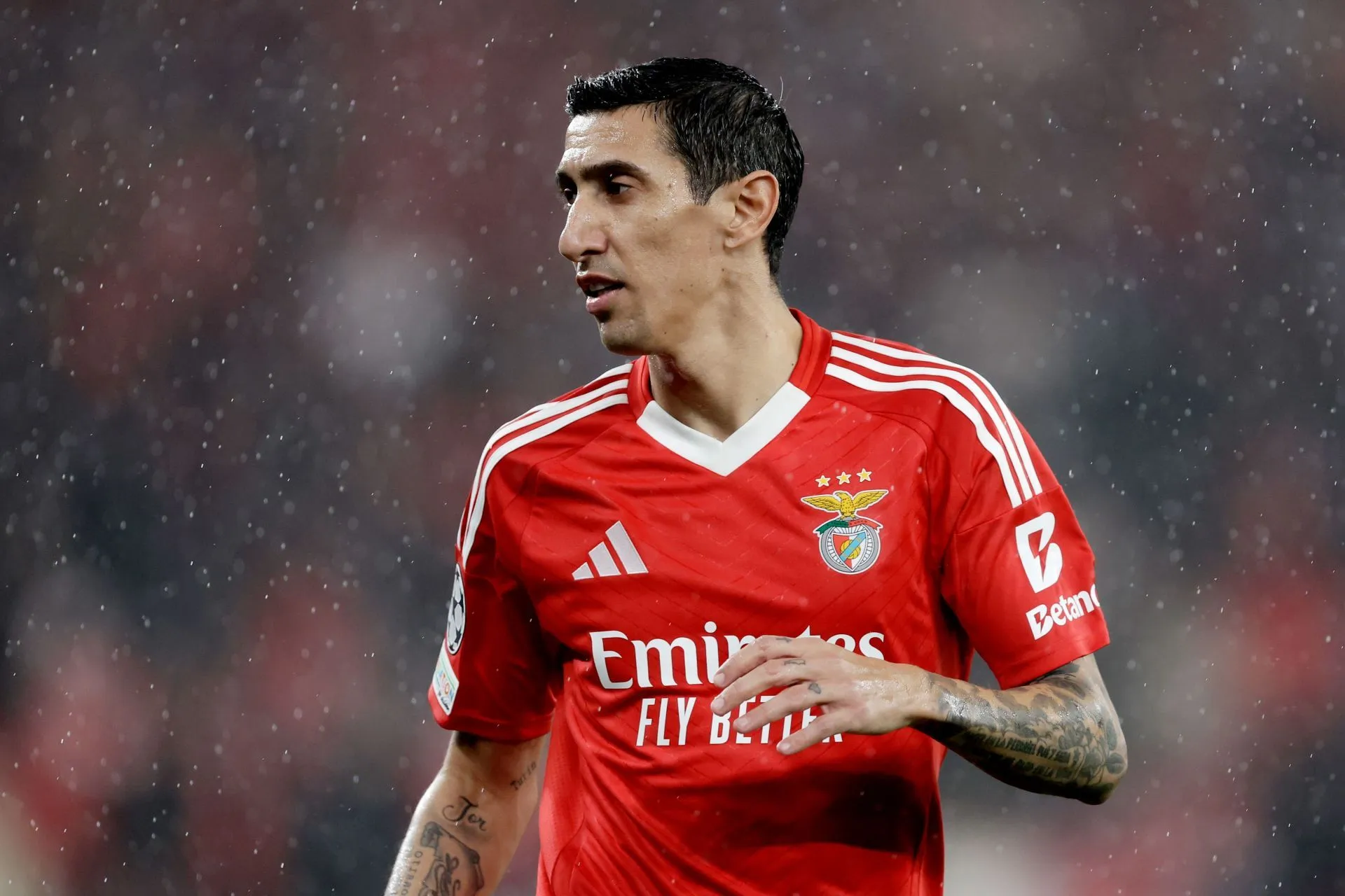 Can Benfica Extend Their Winning Streak Against Rio Ave? Find Out Tonight!