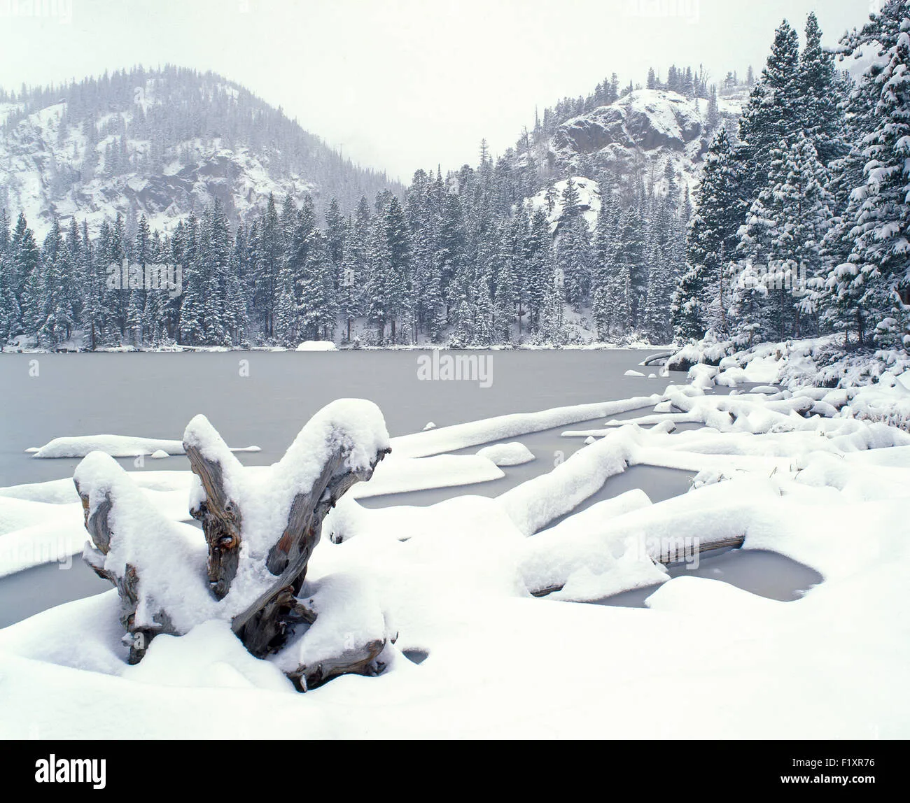 Discover the Hidden Wonders of Rocky Mountain National Park Before the Timed-Entry System Takes Effect!