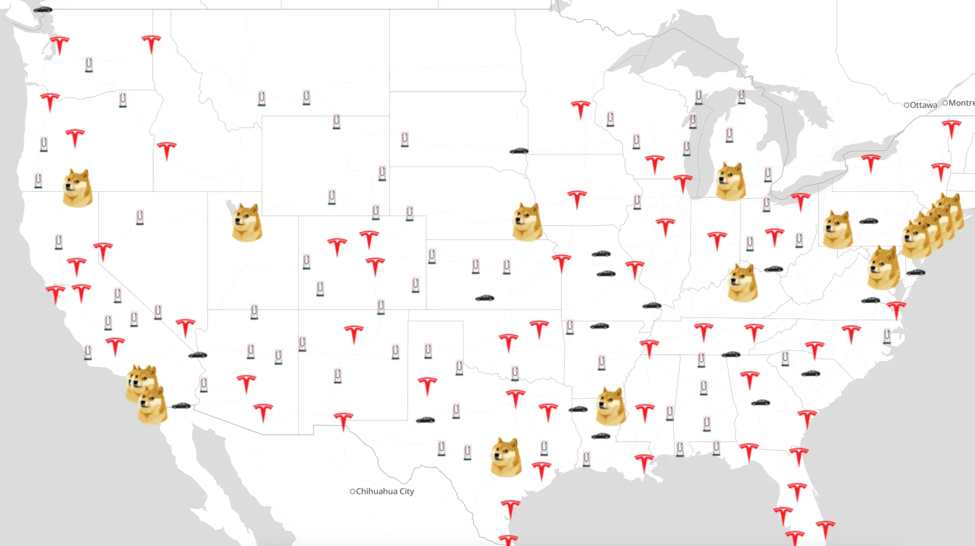 Dogequest Takes the Internet by Storm: Why Everyone's Talking About It!