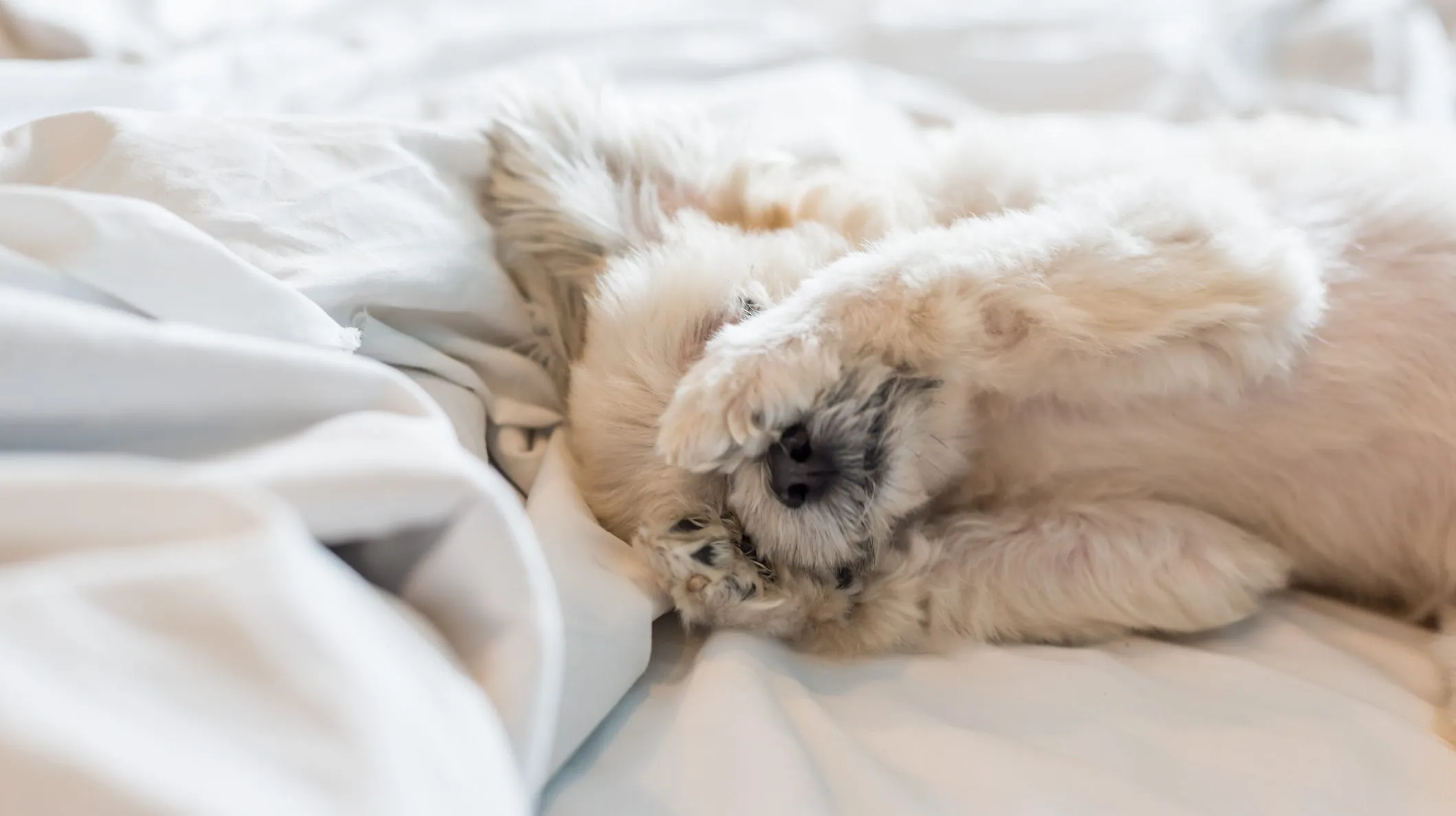 Don't Forget: Time Change Alert for 2025 - When to Spring Forward!
