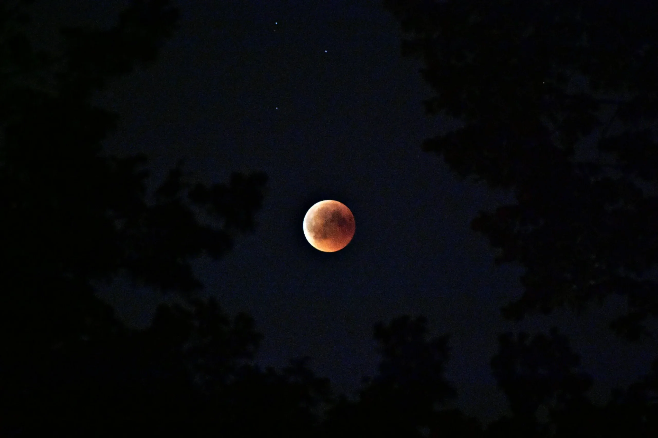 Don't Miss Tonight's Stunning Blood Moon Total Lunar Eclipse!