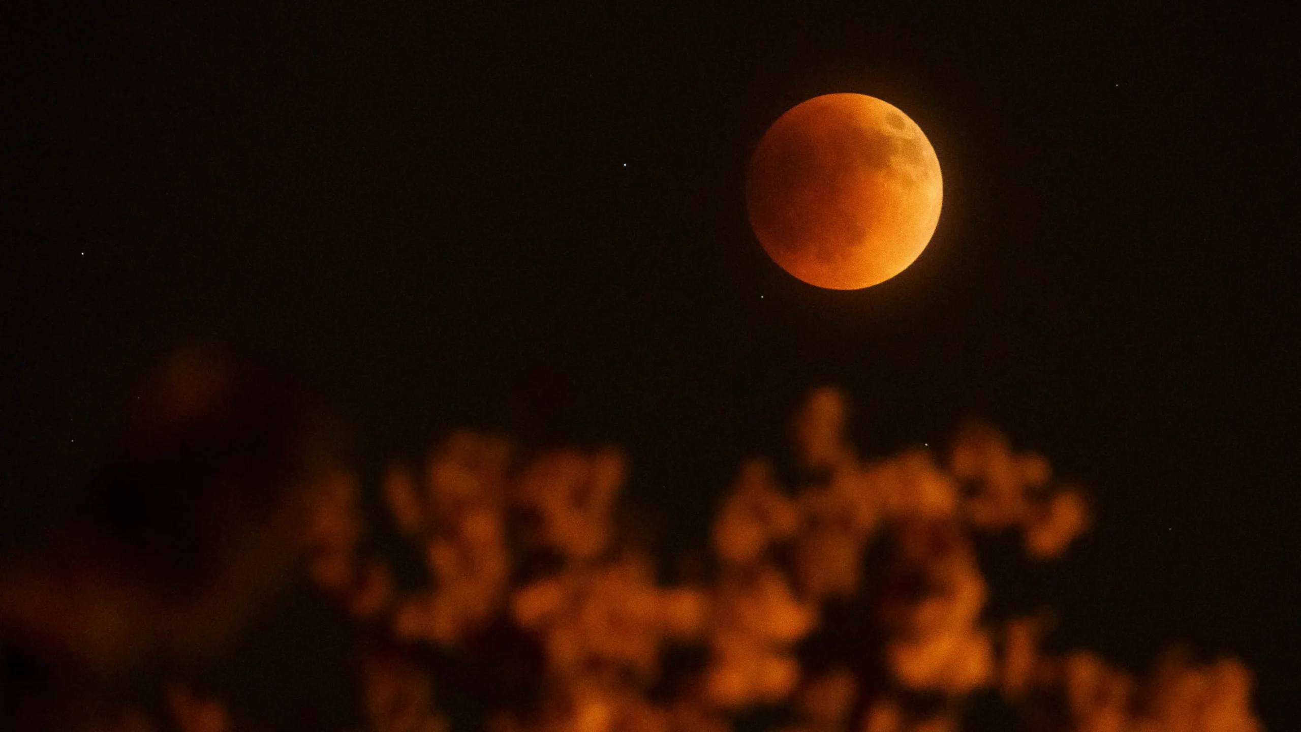 Don't Miss the Blood Moon: What Time to Watch Tonight's Total Lunar Eclipse!