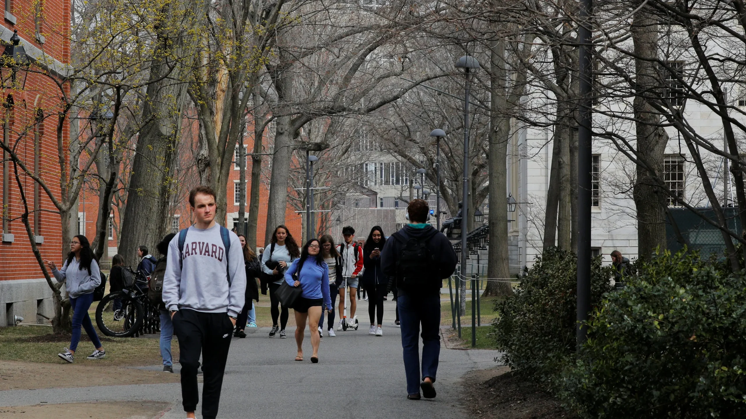 Harvard's Game-Changer: Free Tuition for Families Earning $200K or Less!