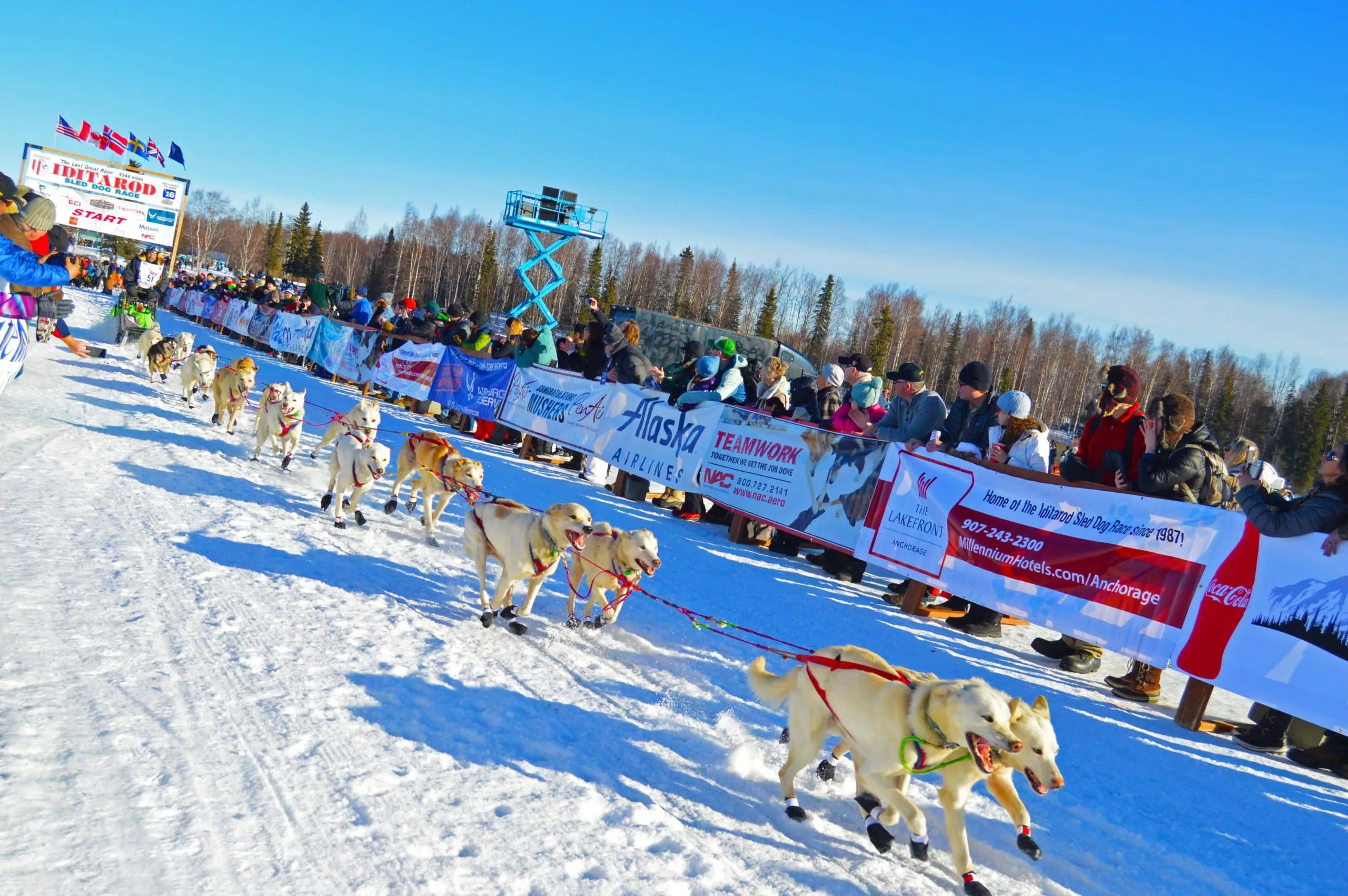 Iditarod 2025: Will Lack of Snow Derail the Legendary Sled Dog Race?