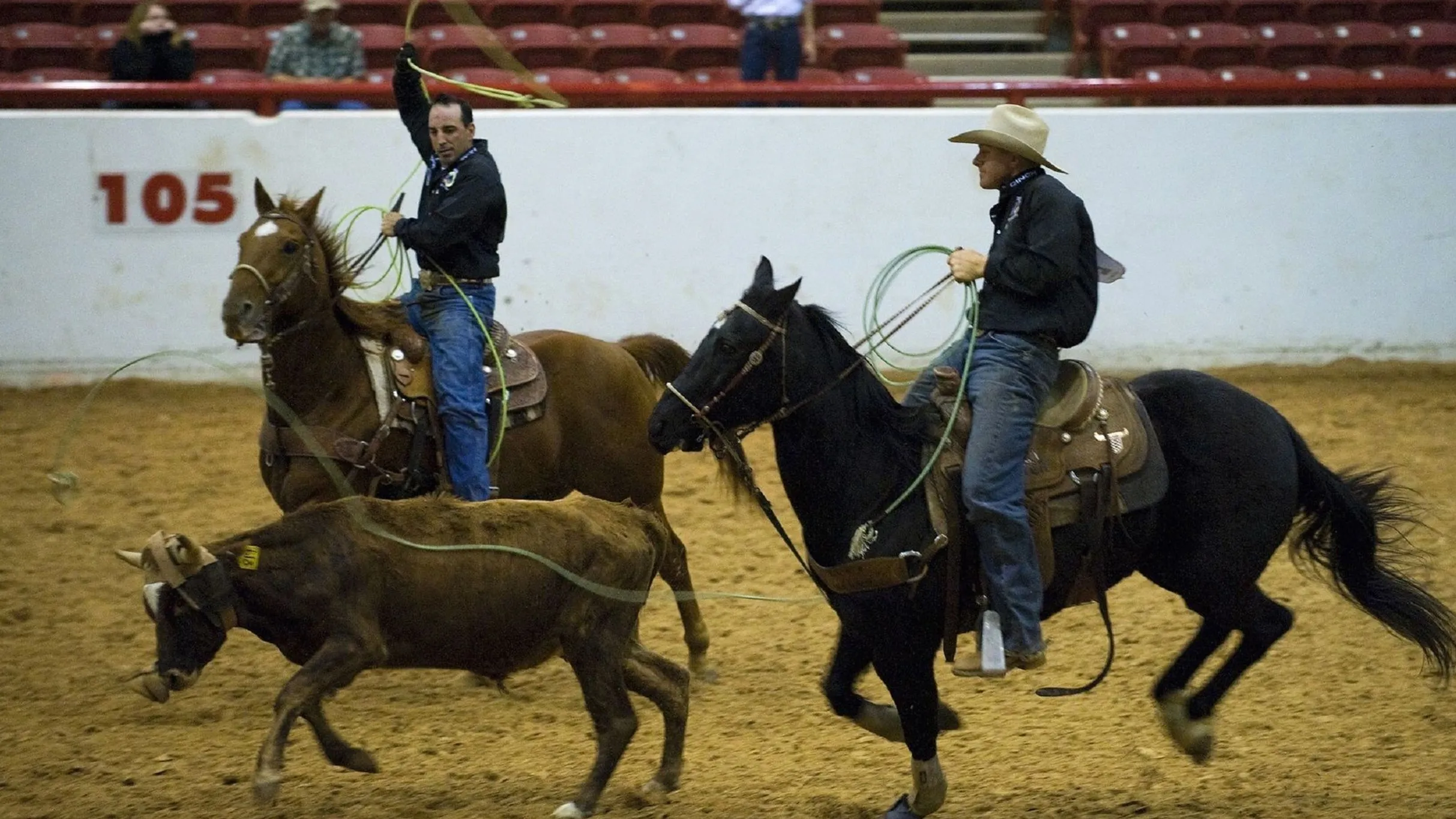 Journey's Houston Rodeo Performance Takes an Unexpected Turn!