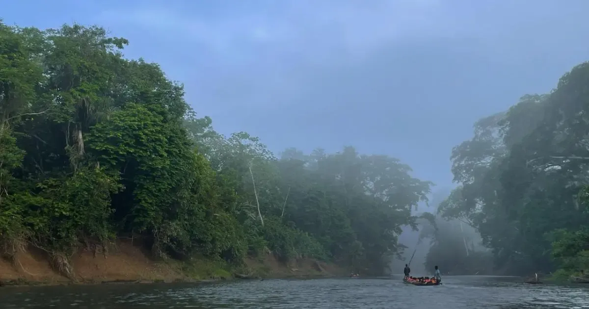 Surviving the Darién Gap: The Deadly Journey of Migrants to the U.S.