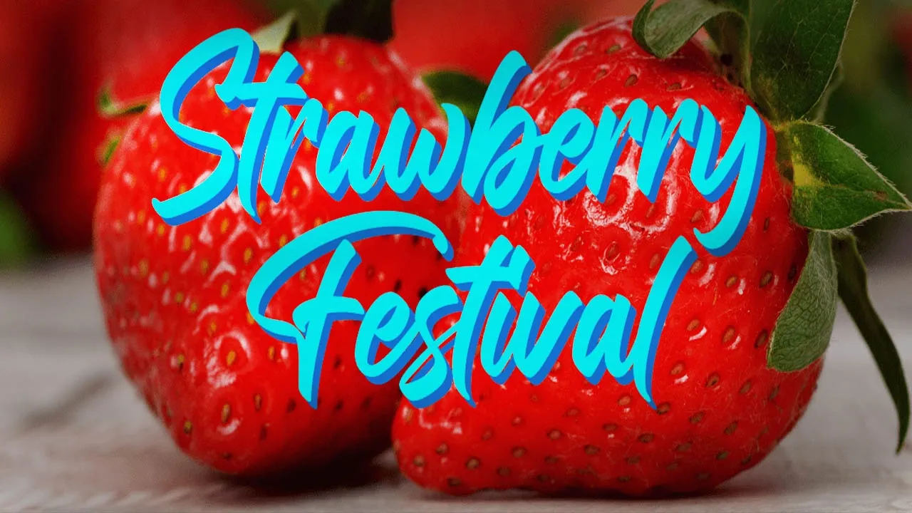 Sweet Celebrations: The Florida Strawberry Festival Takes Over Plant City!