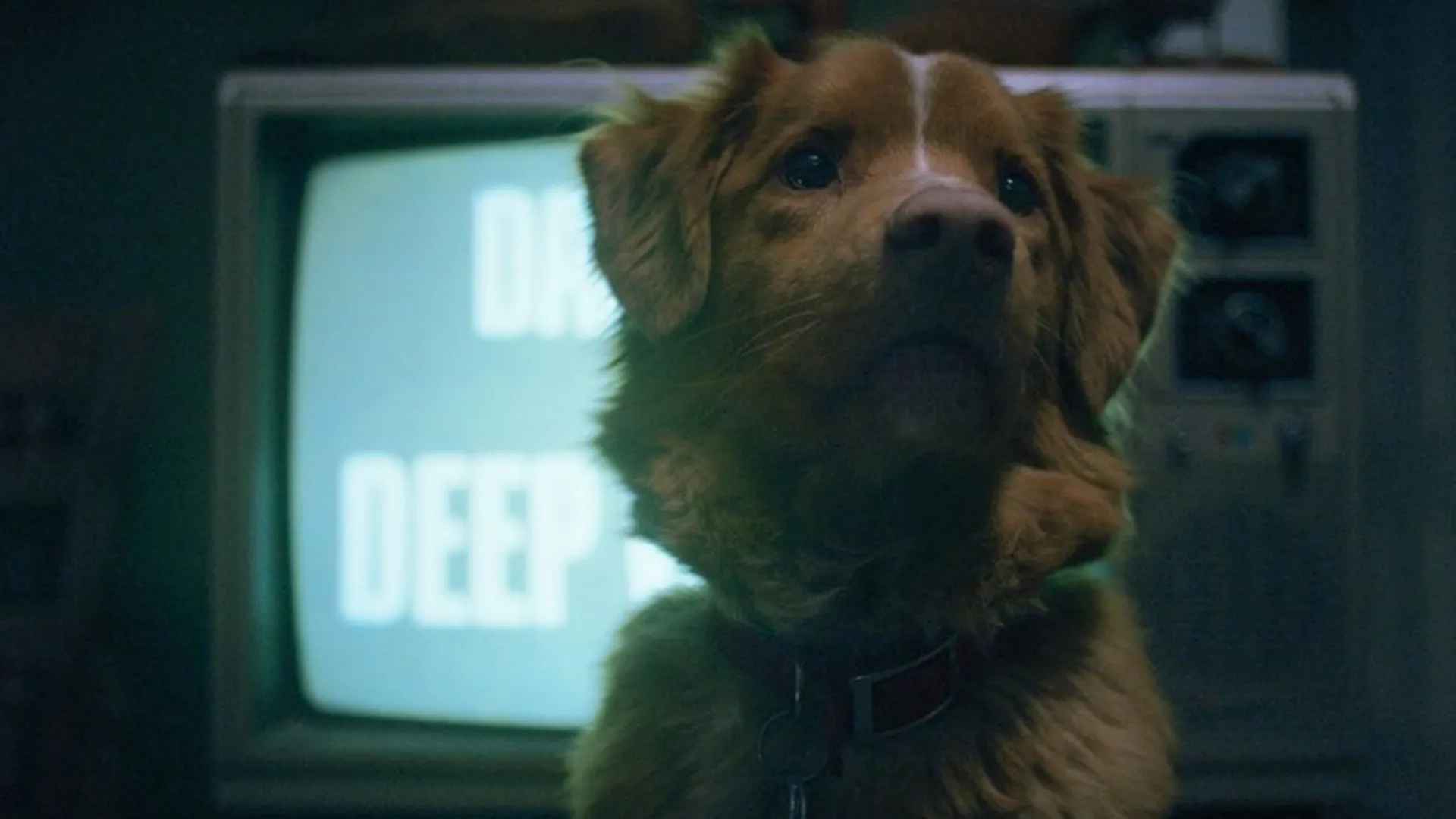 Unleashing Fear: How 'Good Boy' Turns Canine Loyalty into Horror