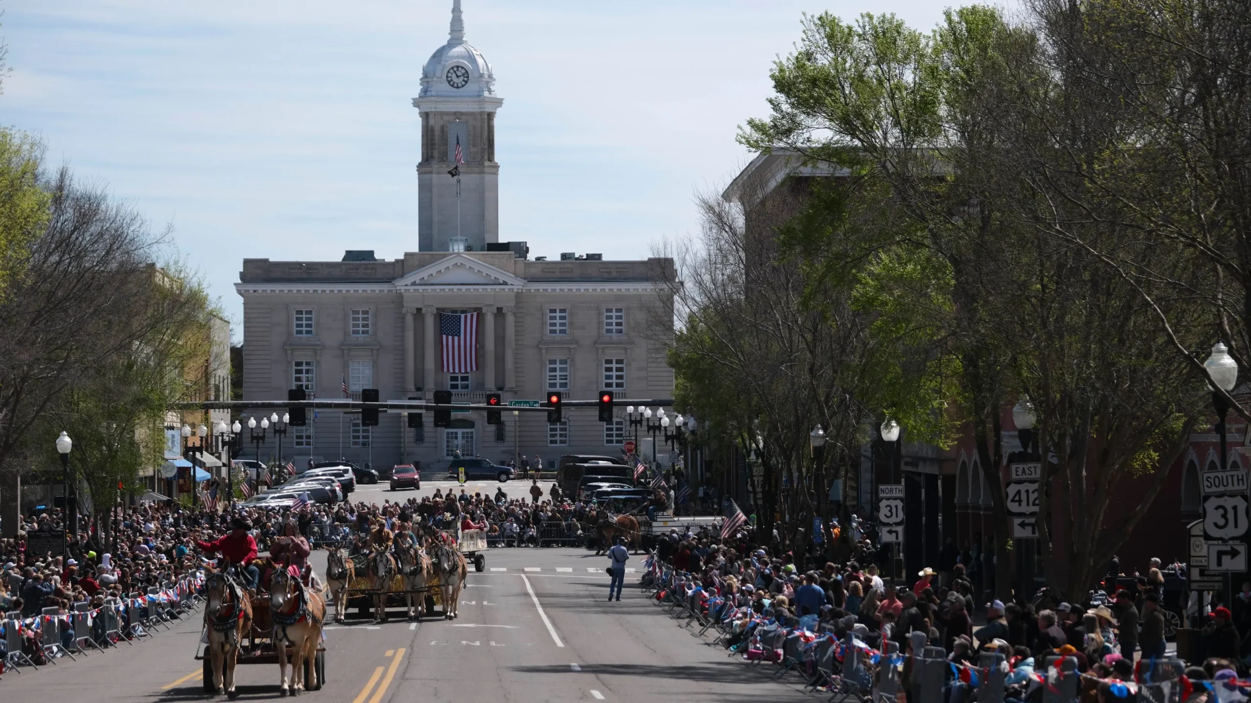 Why Mules Are Taking Over America: The Surprising Truth Behind This Trending Animal