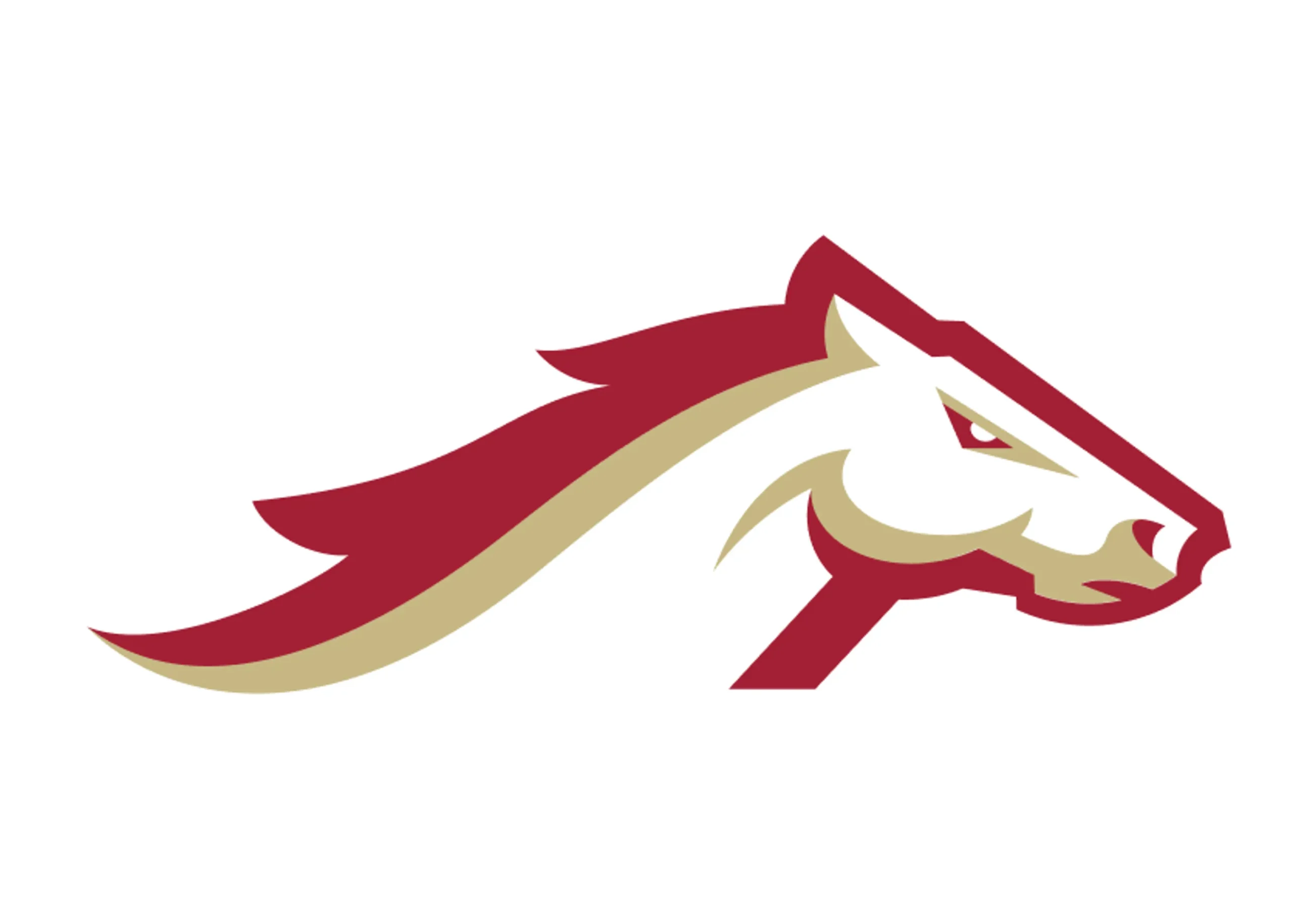 Birmingham Stallions: The Underdogs Rising to Glory in 2025!