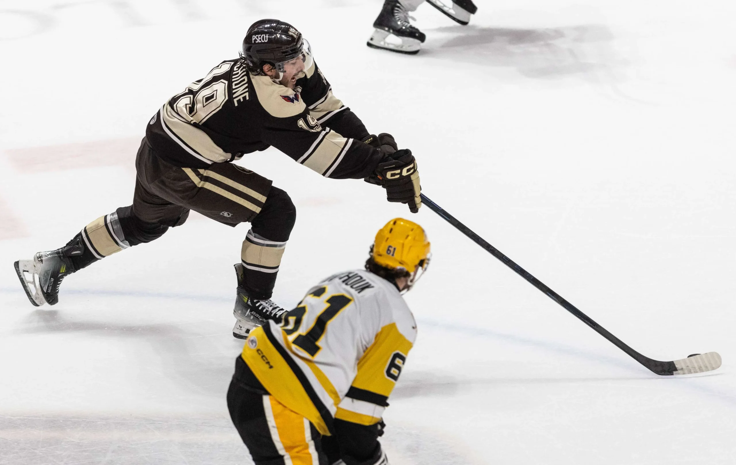 Hershey Bears Make Headlines: A Look at Their Unstoppable Rise in the Hockey World!