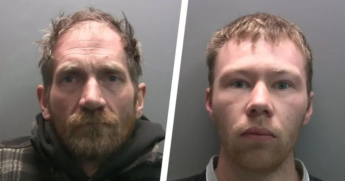 Justice Served: Two Men Convicted for the Iconic Sycamore Gap Tree's Destruction