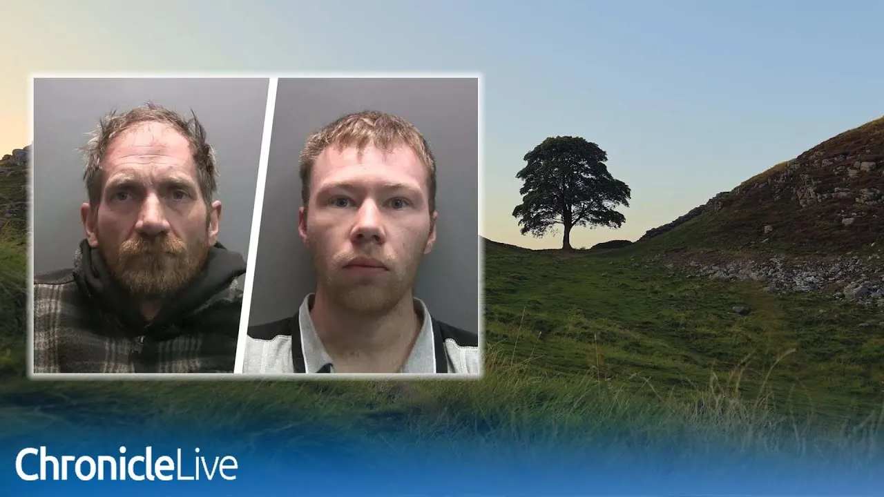 Justice Served: Two Men Convicted for the Iconic Sycamore Gap Tree's Destruction