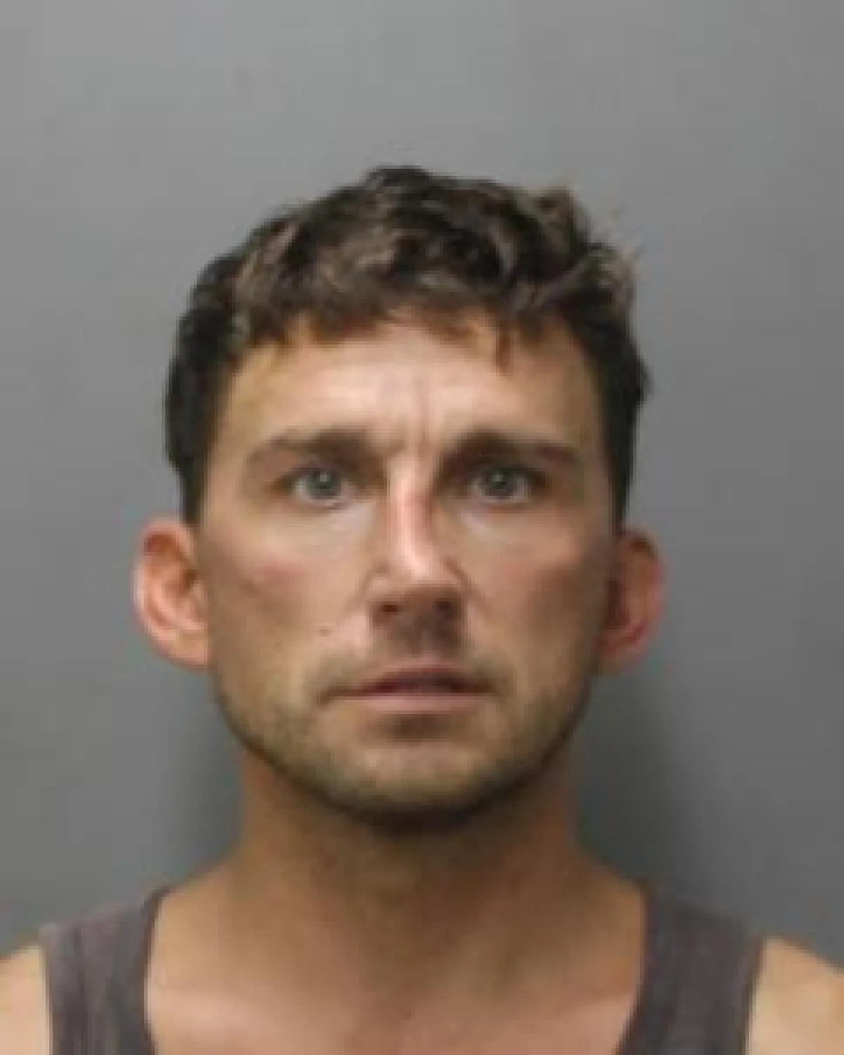 Nathaniel Radimak's Shocking Arrest in Hawaii: The Tesla Road Rage Saga Continues!